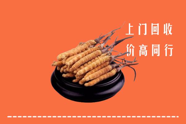 高价求购：卢氏县回收散虫草
