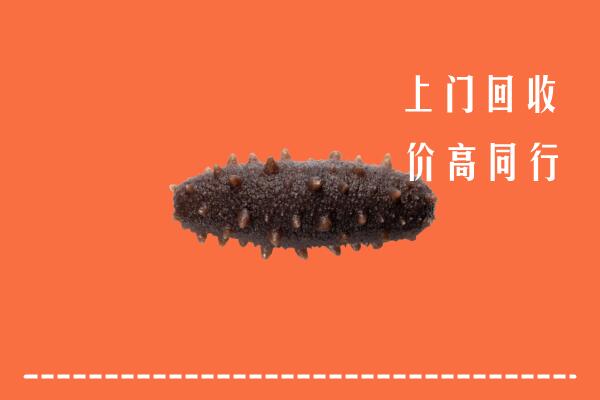 卢氏县回收海参