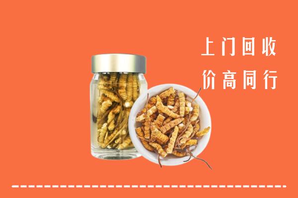 卢氏县回收冬虫夏草